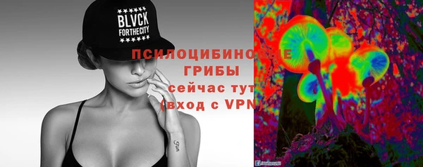 ПСИЛОЦИБИНОВЫЕ ГРИБЫ Кущёвская