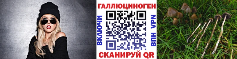купить наркотики сайты  Адыгейск  Галлюциногенные грибы Cubensis 